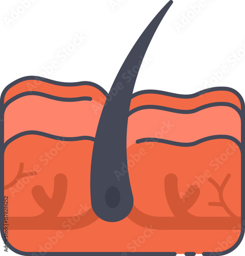 Skin Icon Illustrations