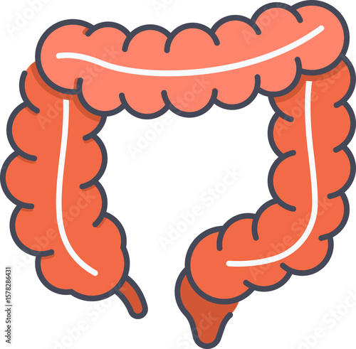 Colon Icon Illustrations