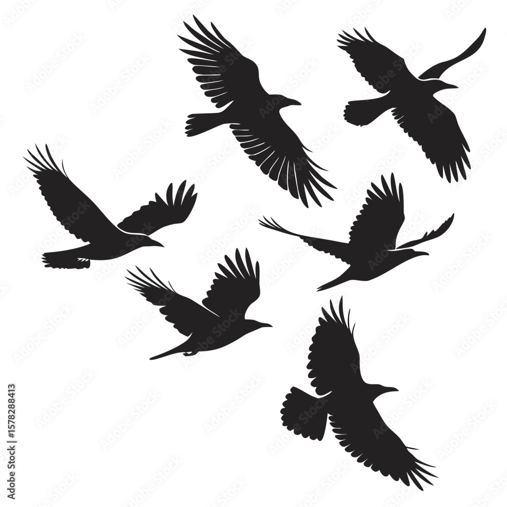 Black bird silhouettes in flight across white birds flying Black bird silhouettes in flight across white birds flying