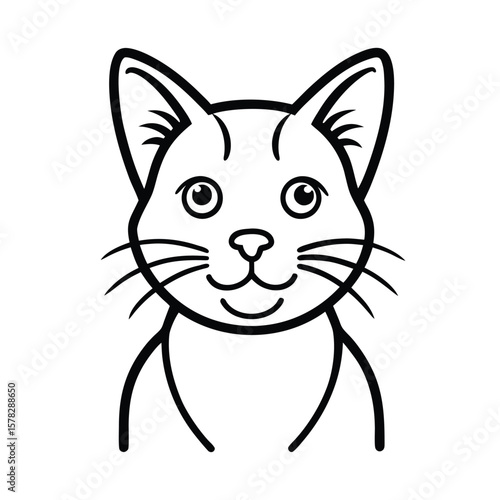 Beyond the Cuddles: 8 Practical Ways to Improve Your Cat's Life.