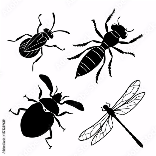 Black silhouette insects including beetle wasp dragonfly and ant white