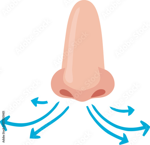 A stylized illustration of a human nose with arrows indicating airflow and breathing.