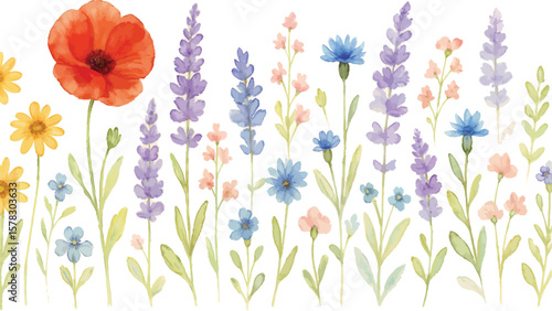 Spring wildflower in watercolor background