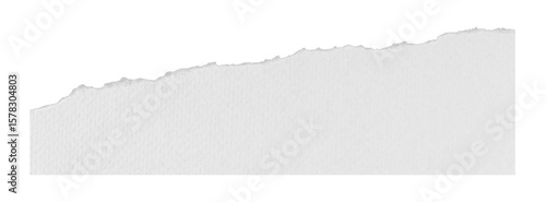 Wallpaper Mural piece of blank white paper texture background torn and ripped on transparent background. document frame design Torontodigital.ca