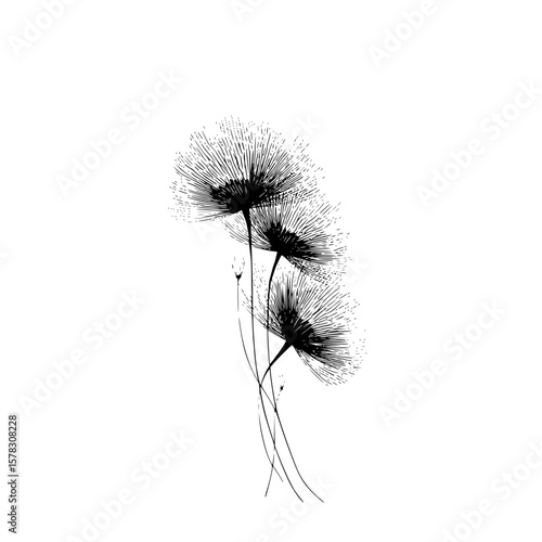 Illustration of three papyrus plants with detailed feathery heads in black and white design style