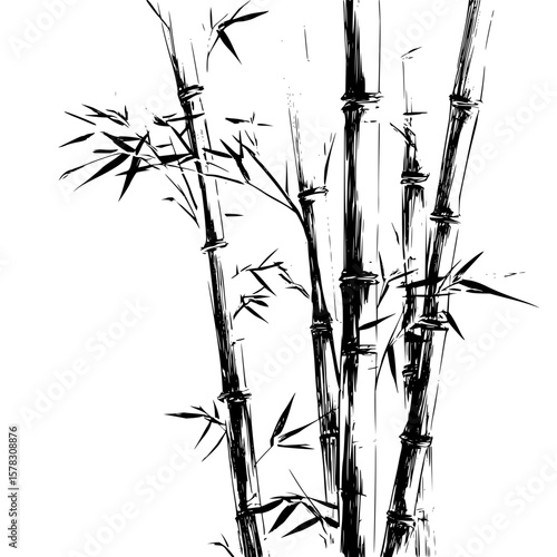 Illustration of several bamboo stalks with leaves in black and white sketch style art with textured brush strokes
