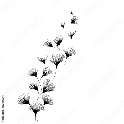 A whimsical array of ginkgo leaves gracefully ascending in a delicate monochrome composition artfully done