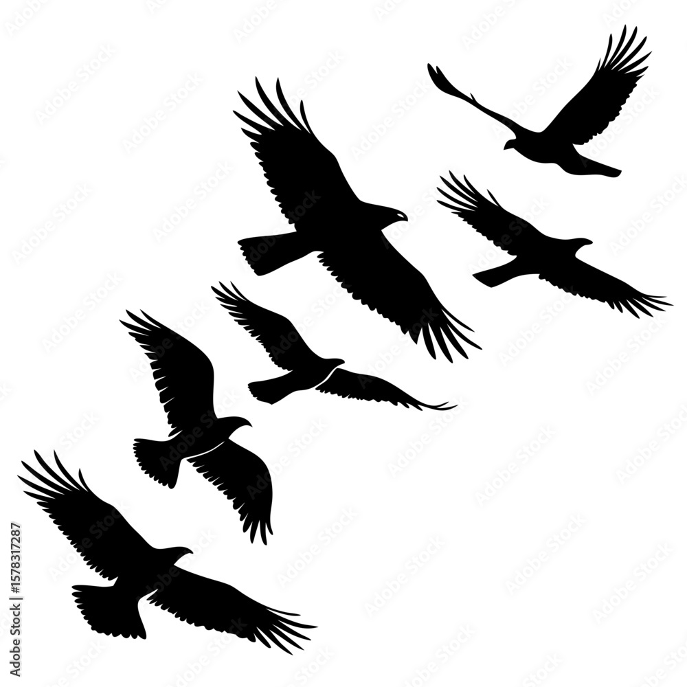 Obraz premium Black silhouettes of birds in flight flying wings spread