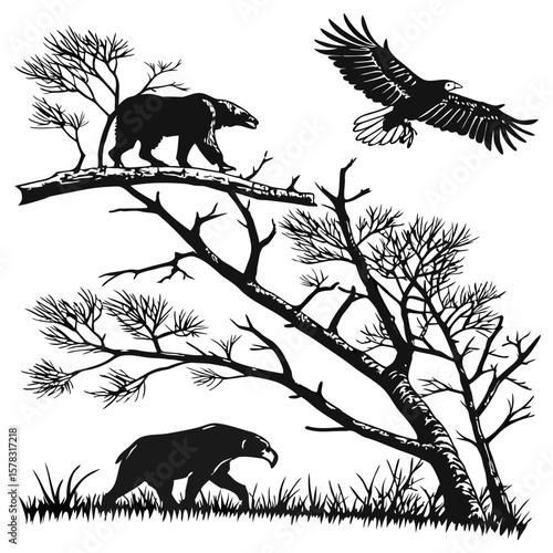 Black silhouette of eagle soaring above bear and trees