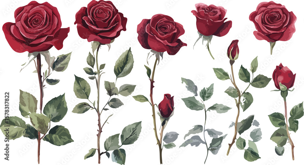 Fototapeta premium Elegant seamless border of red roses with leaves on a white background