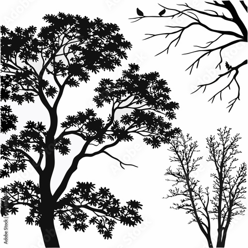 Black tree crowns and bare branches against white trees