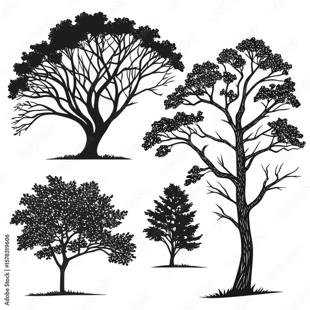 Obraz premium Diverse black tree silhouettes with detailed foliage
