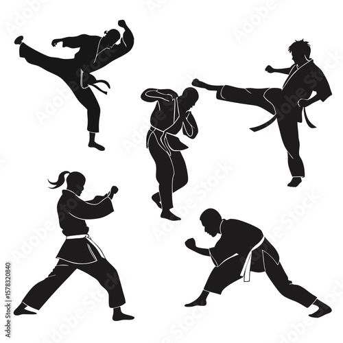 Five martial artists demonstrating combat stances martial arts