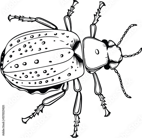 Green Stink Bug Coloring Page Drawing For Kids