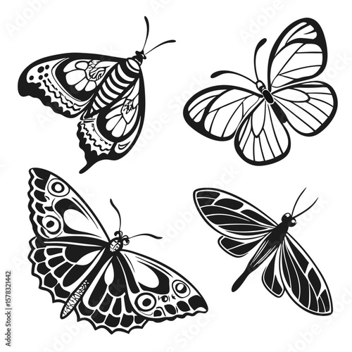 Four detailed black butterfly and moth silhouettes