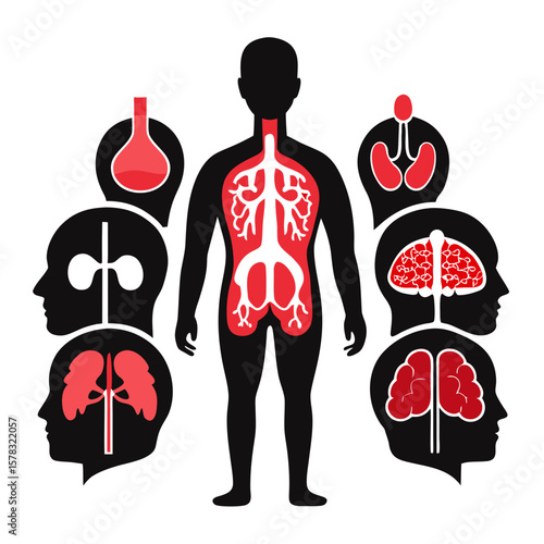 Human anatomy internal organs silhouette medical health
