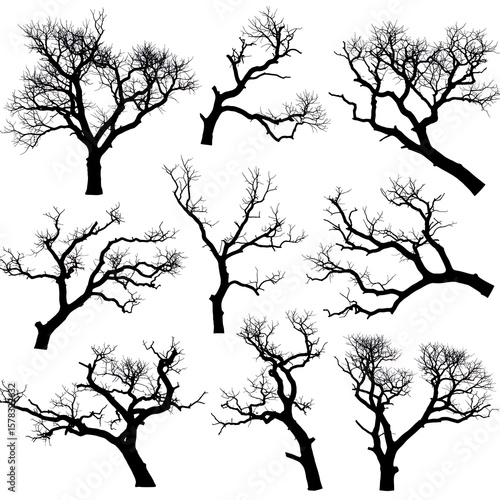 Winter's Silhouette Collection