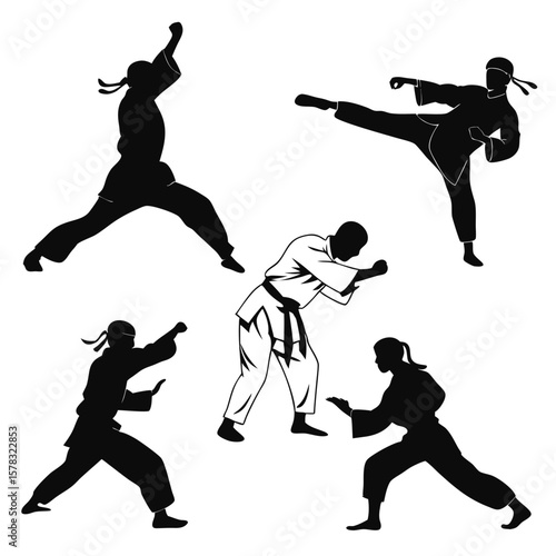 Martial artists in dynamic poses martial arts karate