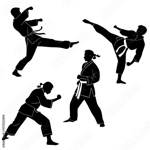 Martial artists performing dynamic combat stances martial arts
