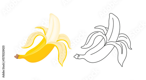 Peeled banana color cartoon illustration and simple outline. Vector fresh tropical fruit. Flat icon.