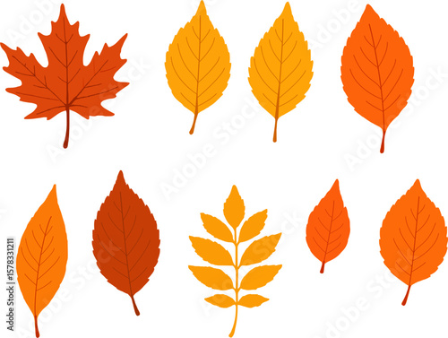 Autumn Leaves Clipart Set Colorful Fall Foliage Collection vibrant collection red, orange, and yellow. Includes maple, oak Ideal for seasonal decorations, scrapbooking, stickers, and Thanksgiving