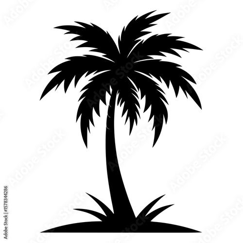 palm tree silhouette