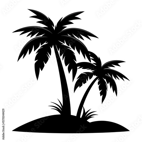 silhouette of palm tree