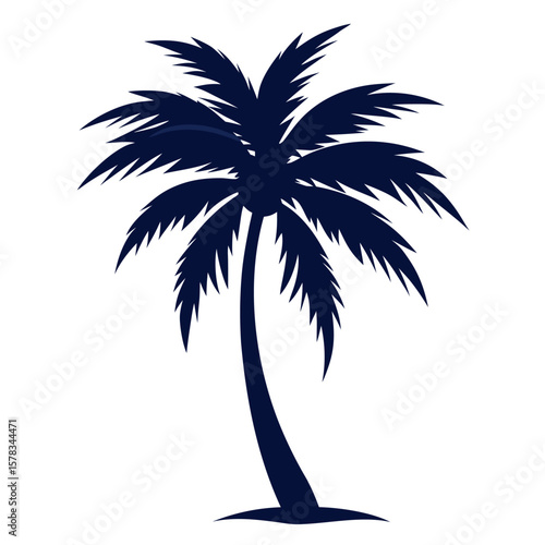 silhouette of palm tree