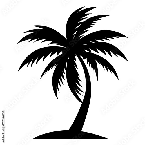 palm tree silhouette