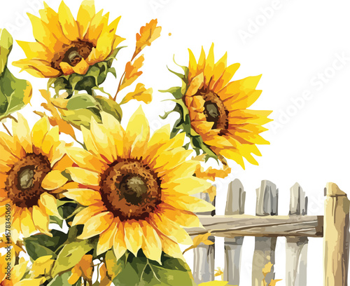 Watercolor Sunflowers with Rustic Wooden Fence Floral Border Illustration for Design