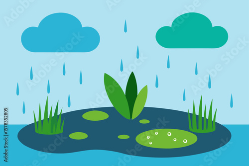 rainy meadow with puddles and plants