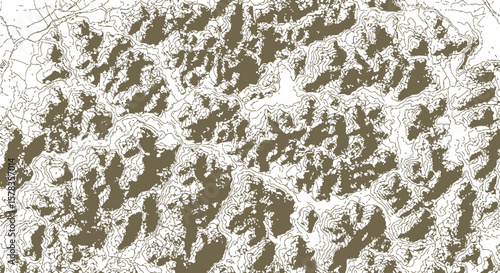 Intricate Topographic Map Detailed Contours and Elevations Graphic