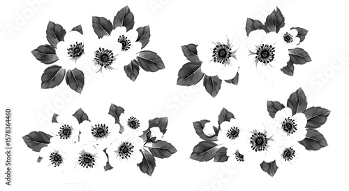 Flower arrangements featuring monochrome leaves and blossom. Botanical illustration, design element, floral pattern, decoration, vintage