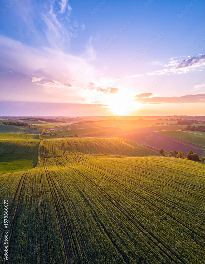 Fototapeta premium Aerial sunset view of green crop fields. Golden sun above horizon, dramatic sky