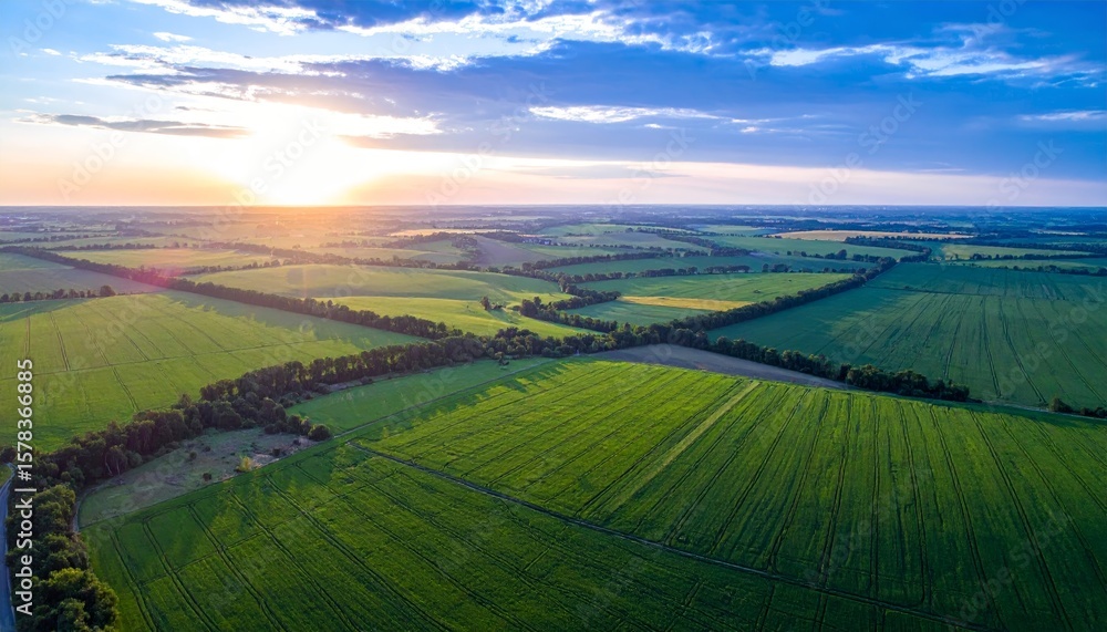 Fototapeta premium Aerial sunset view of green crop fields. Golden sun above horizon, dramatic sky