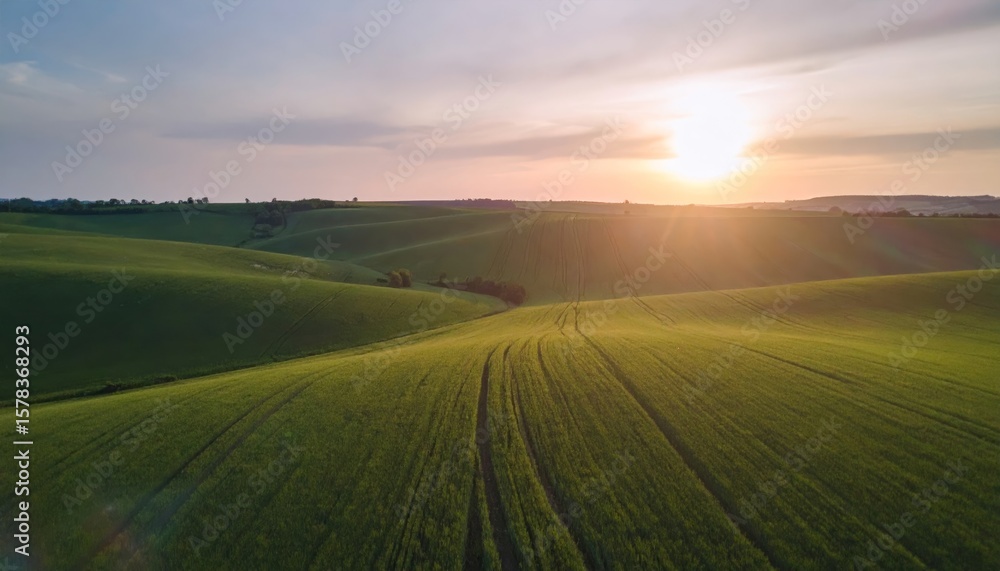 Obraz premium Aerial sunset view of green crop fields. Golden sun above horizon, dramatic sky