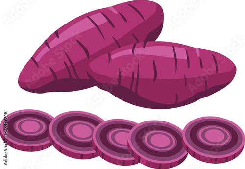 Vector illustration of set of purple sweet potatoes in cartoon flat style. Whole and sliced batata or yam isolated on white background. Organic vegetable root, healthy vegan, nutrition carbohydrate