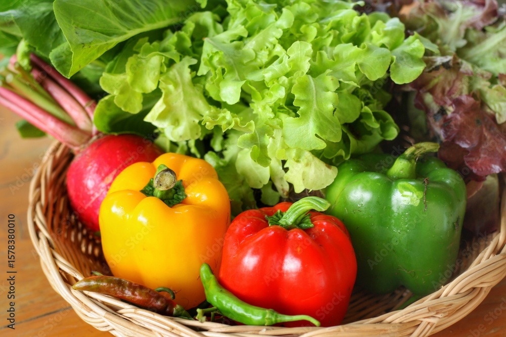 Close up at Fresh organic vegetables including radish,sweet pepper and green Lettuce in weave basket on table.Fresh harvested pesticide and GMO free vegetables good for health and environment. Close up at Fresh organic vegetables including radish,sweet pepper and green Lettuce in weave basket on table.Fresh harvested pesticide and GMO free vegetables good for health and environment.