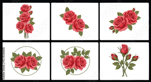 A set of six images showing red roses in various arrangements on a white background design