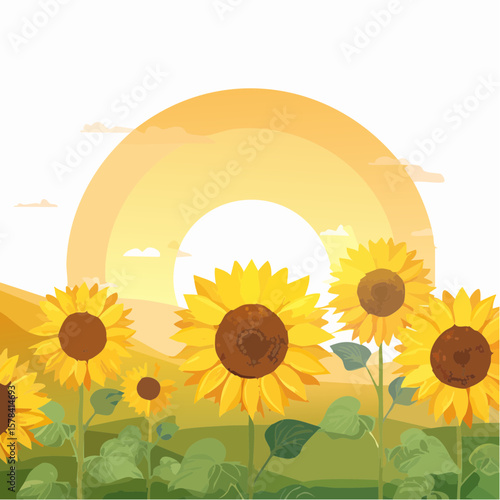 field of sunflowers at sunrise