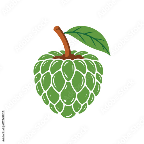 Vector illustration of custard apple whole fruit and half sliced isolated on white background. Cherimoya, annona reticulata, wild sweetsop, soursop, sugar apple icon for package design