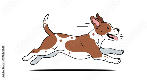 Energetic brown and white dog running joyfully across the field showing its speed