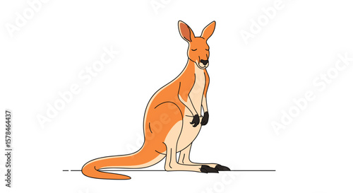 Adorable orange kangaroo standing tall with its joey in the pouch on a white background illustration