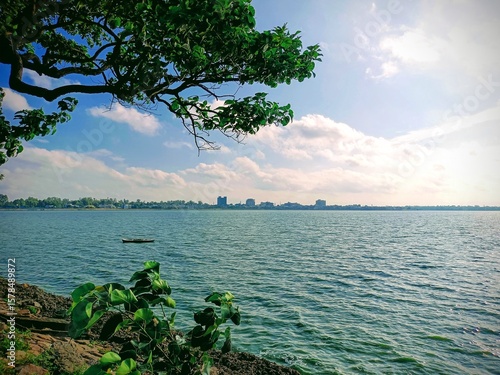 Lakeside Panorama with Distant Cityscape and Overhanging Tree