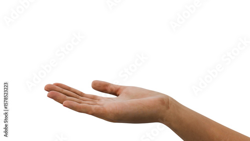 3D illustration of a hand with alpha transparent background PNG