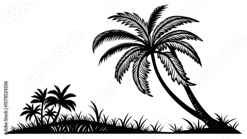 palm tree silhouette