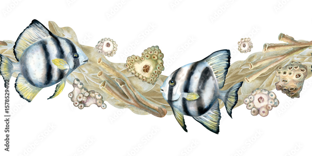 Fototapeta premium Seamless border of black-white striped tropical fish, beige corals, sea sand. Watercolor template of seascape in beige tones isolated on white background for sea design, diving, scrapbook, sticker