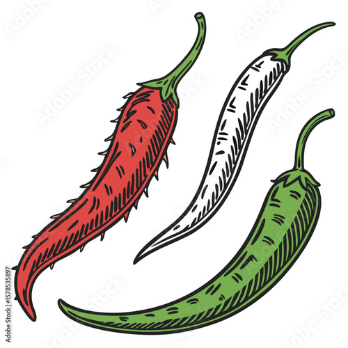 Red and Green Hot Chili Peppers, Hand-Drawn Food Illustration. Perfect for: Cinco de Mayo, spicy food festivals, Mexican menus