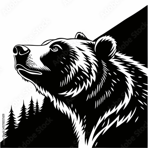 vector illustration of a bear
