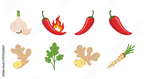 Culinary Spices: Garlic, Chili, Ginger, and Parsley Vector Set